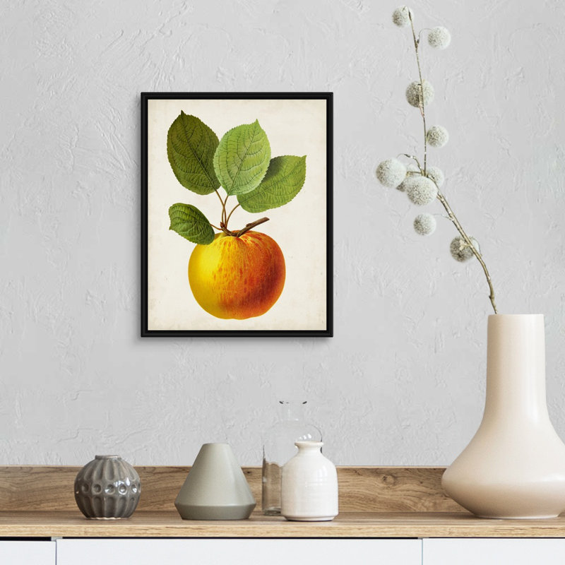 Antique Fruit I - reproduction d'art sur toile, H 15,7 po x l 12,7 po x P 1,75 po, Cadre flottant noir