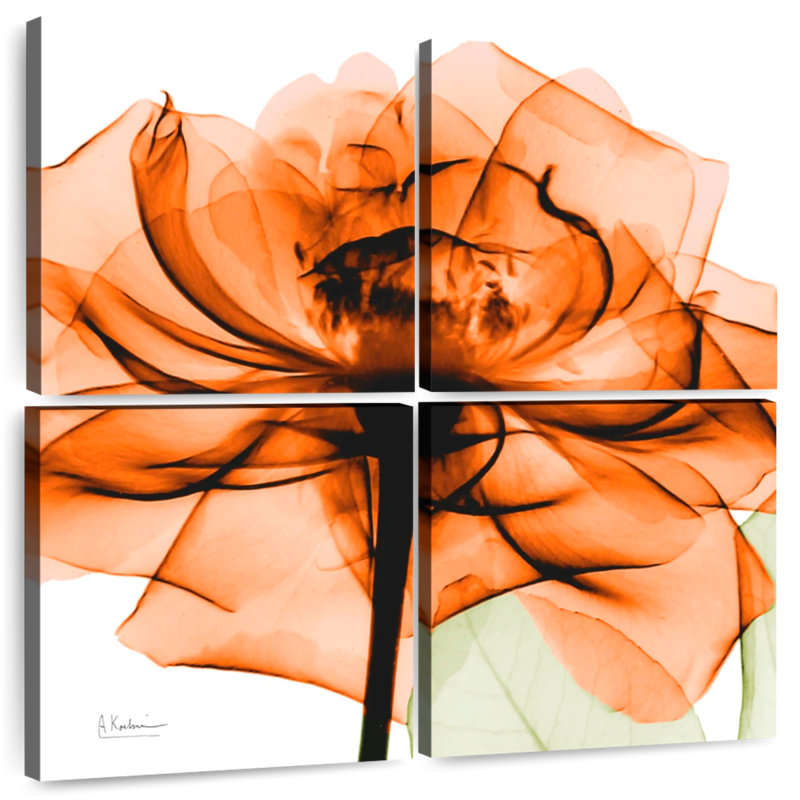Orange Rose Xray, 45" H x 45" W