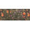 Bordure de papier peint floral L 0,75 pi x l 180 po