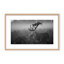 Nature Inspired Sunny Morning by  - Picture Frame Photograph on Paper-81386949-131297619-131297620
