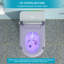 Toilette intelligente avec bidet intégré, ouverture et fermeture automatiques, siège chauffant allongé, capteur de pied encastré, affichage DEL, lavage à l'eau chaude, sécheuse, veilleuse