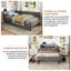 Upholstered Daybed-808447758-808447761