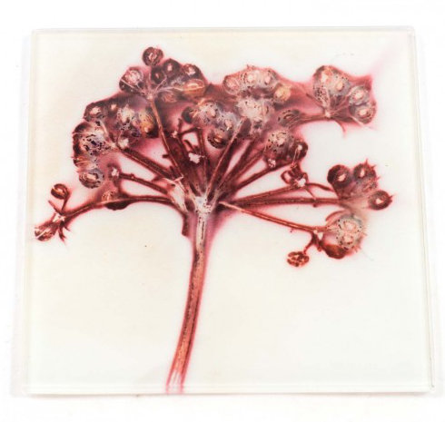 Glass Square 2 Piece Coaster Set