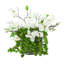 Magnolias and Succulents Arranged in Glass Vase