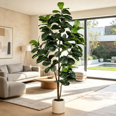 6FT Fiddle Leaf Fig Tree with White Planter
