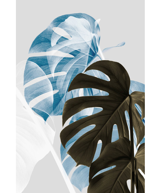 Wrapped Canvas Print, 76.2 cm H x 50.8 cm W