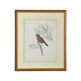 Delicate Birds II Print