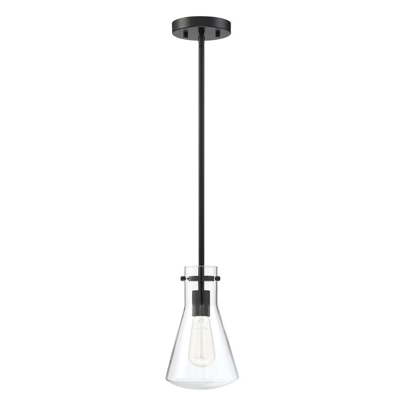 Luminaire suspendu conique à 1 lumière Renata, Noir