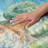 Premium Machine Washable Dream Shag Turtle Rug-1007441906