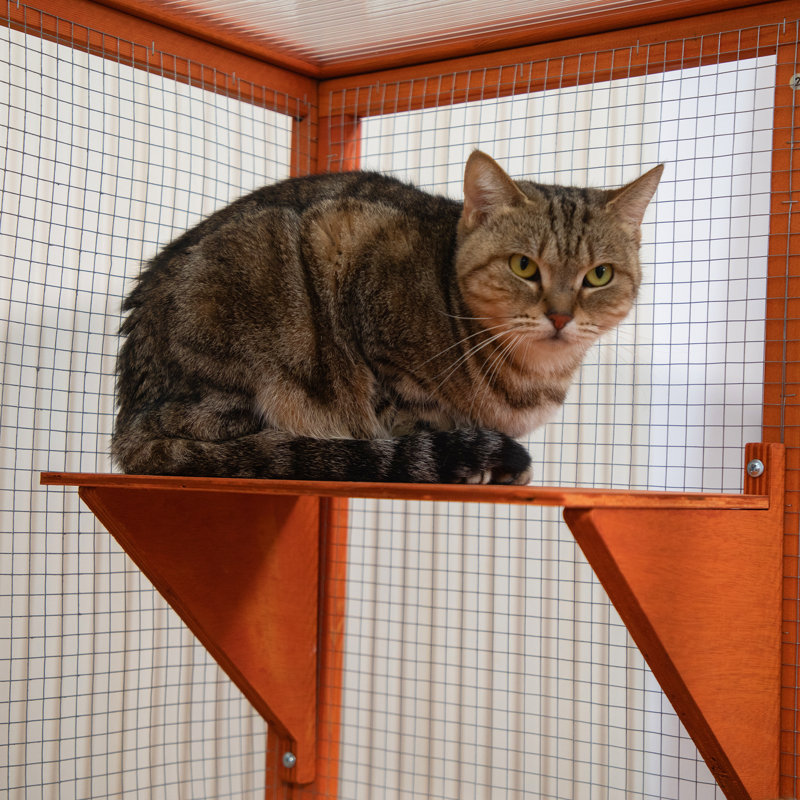 Parc pour chat Ermana