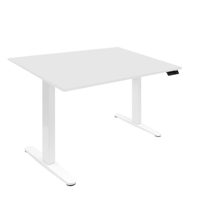 Mount-It Dual Motor Electric Standing Desk