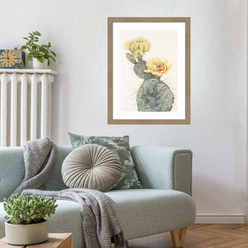 «Missouri Prickly Pear From North American Wildflowers (1925)» par Mary Vaux Walcott, reproduction d'art sur bois encadrée