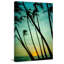 " Tilting Palms " by Don Schwartz-15924009