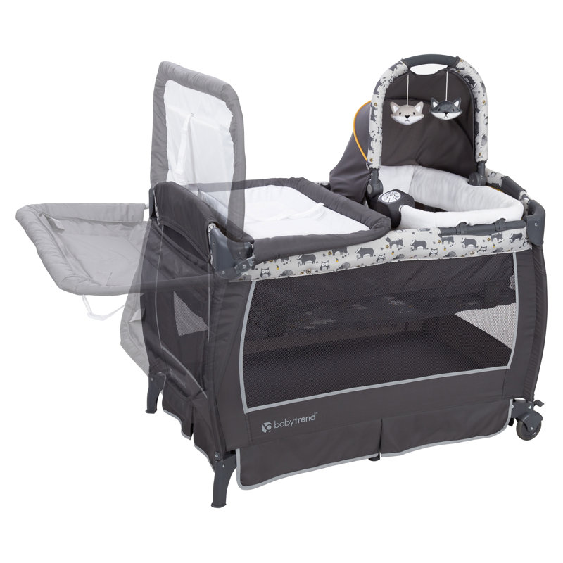 Bassinet with Mattress and Stand
