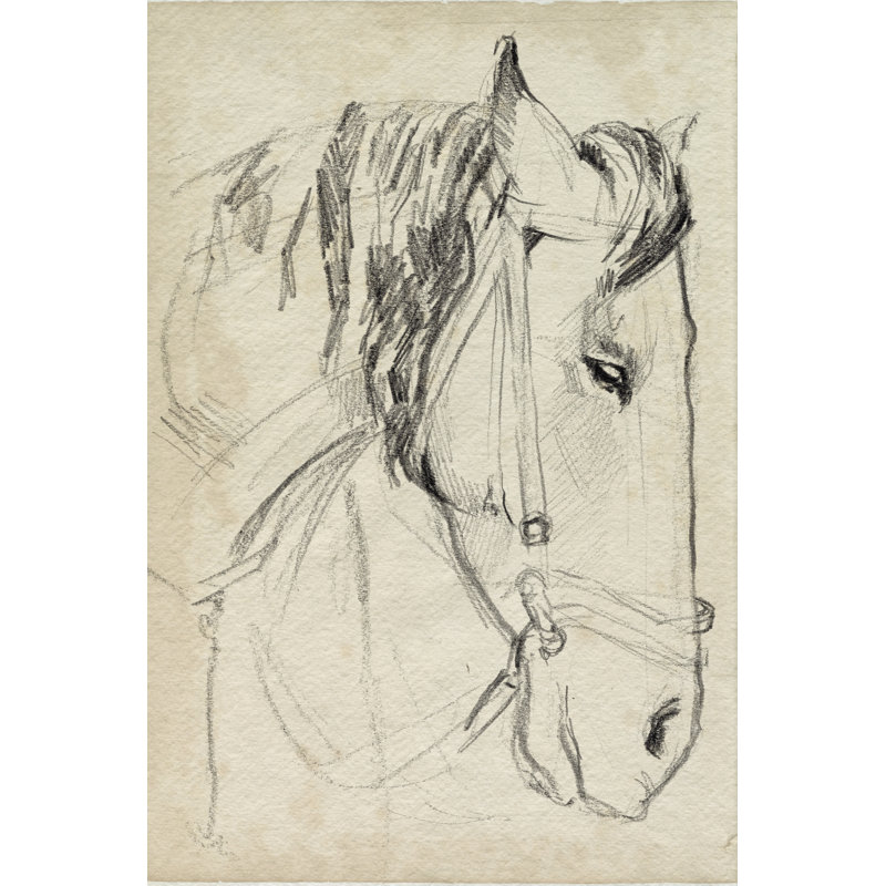 Horse In Bridle Sketch I by Jennifer Paxton Parker - Print on Canvas, 30 cm H x 20 cm W, Black Floater Framed