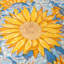 Nappe Daronta-86865863-86865864
