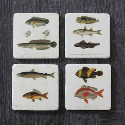 Ensemble de 4 sous-verres fish
