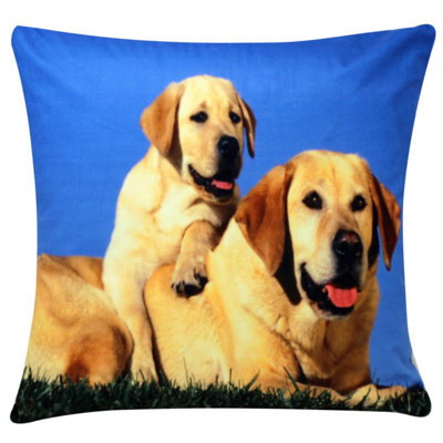 Ceceila Square Cushion Cover