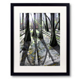 Through The Woods Print by Leslie Kell