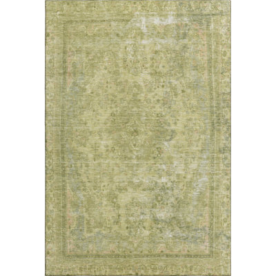 Premium Machine Washable Lampkins AMF1646 Global Rug