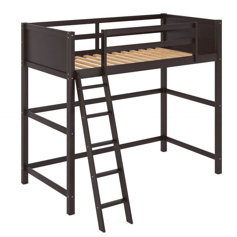 Eryss Kids Twin Loft Bed, Espresso