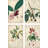 Mini Descubes by A. Descubes - 4 Piece Wrapped Canvas Print Set-1838268420