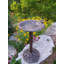 Bain d'oiseaux Wendling-1553776888