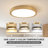 LED Flush Mount-1849640238