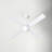 Ball 52'' Ceiling Fan with LED Lights-386566817-386566878-386566879