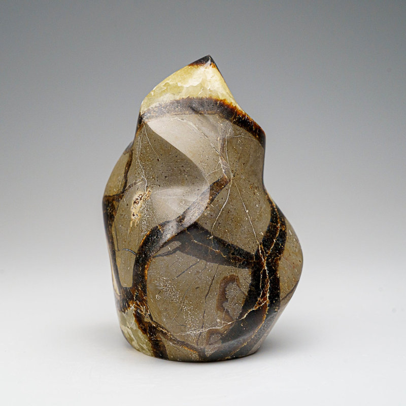 Polished Septarian Flame Freeform From Madagascar (1.3 Lbs)