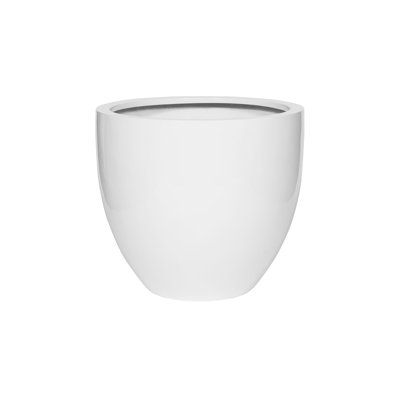 Jesslyn S, Glossy White