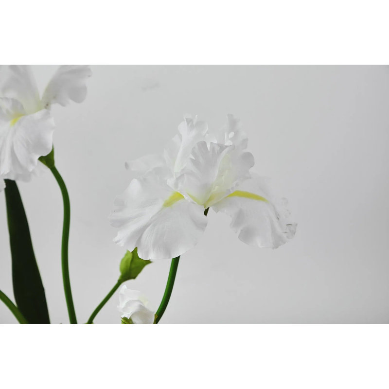 Arrangement d'illusion d'eau grand et grand iris