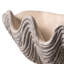 Bol décoratif en forme de coquillage, vide-poches en résine texturée pour table basse et coiffeuse, décoration intérieure style bord de mer