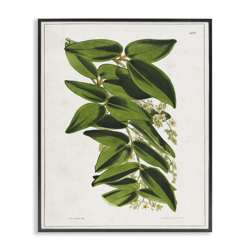 «Giclee Art» par Tina Higgins Designs, Inc., Giclée encadrée noir minuit, H 20 po x l 16 po