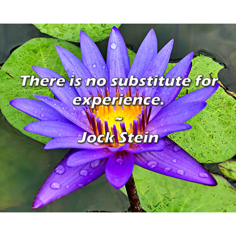 Citation de Jock Stein: rien ne peut remplacer l'expérience.