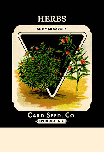 Herbes : affiche rétro savory summer, H 42 po x l 28 po x P 1,5 po