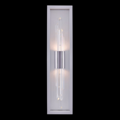 Stainless Steel LED Wall Light