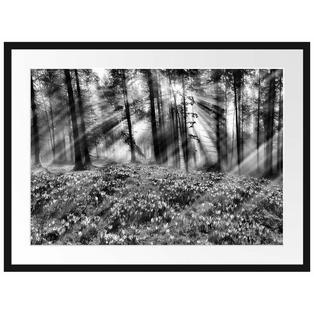 Gerahmtes Poster Lavendel im Wald