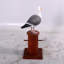 Statue de mouette sur un poteau