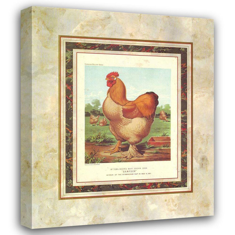 August Grove® Ludlow, J.W. Art sur toile tendue avec châssis: Buff. Cochin coq, livre de volaille Cassells, H 33 po x l 28 po