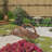 Half-Wheel Style Railing Garden Bridge