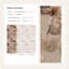 Papier peint floral, décoration murale moderne minimaliste beige