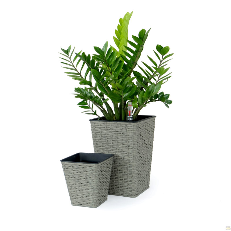 Ensemble de 2 jardinières carrées auto-arrosantes pour l'intérieur et l'extérieur - Osier tissé à la main - Gris