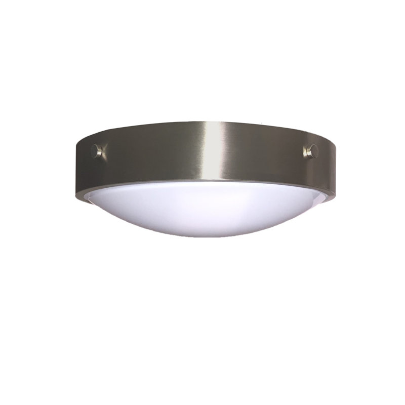 Luminaire 120 V avec 2 ampoules DEL A19 à culot moyen, Nickel brossé