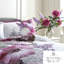 Mayfair Lady 144 TC Duvet Cover Set-44443556