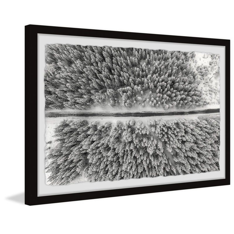 Road Through The Forest - Single Picture Frame Print, 41cm H x 61cm W x 3.81cm D