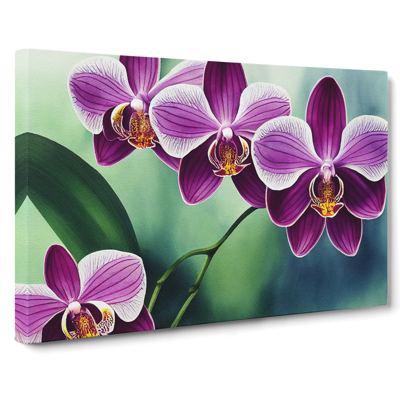 Luscious Orchid Flowers - Wrapped Canvas, 40cm H x 60cm W x 3cm D