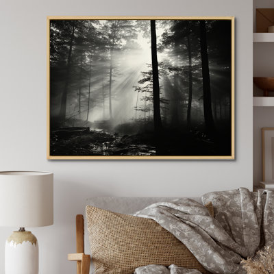 Black And White Forest Silence Photography I - Forest Framed Prints
