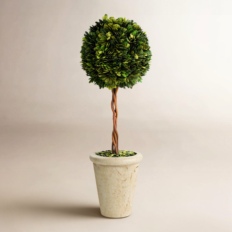 Preserved Greens 23.25" Single Ball Topiary, 18.5" H x 6.25" W x 6.25" D