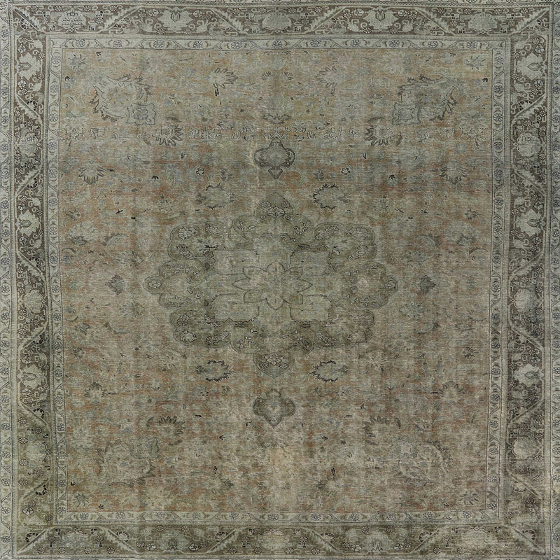 Eirian Oriental Indoor Rug, Square 6'